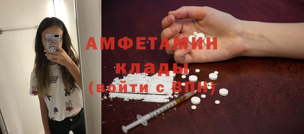 трава Балахна
