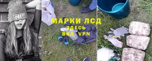 трава Балахна