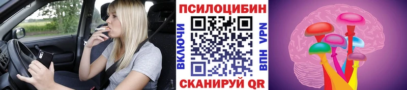 Галлюциногенные грибы мицелий  Велиж 